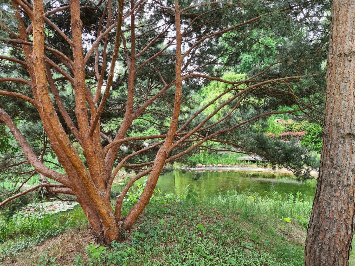 Ferienwohnungen Margaretenhof, Plaue Margarethenhof Bagian luar foto